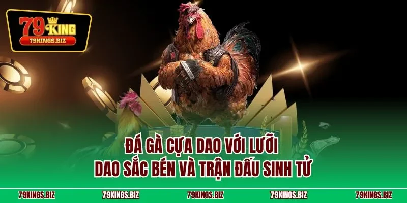 Đá gà cựa dao với lưỡi dao sắc bén và trận đấu sinh tử