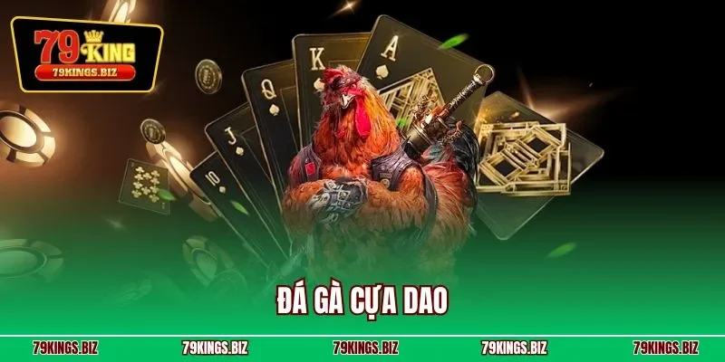 Đá gà cựa dao