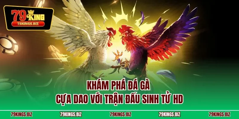 Khám phá đá gà cựa dao với trận đấu sinh tử HD