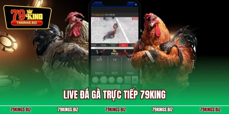 Live đá gà trực tiếp