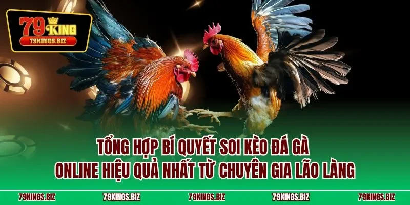 Tổng hợp bí quyết soi kèo đá gà online hiệu quả nhất từ chuyên gia lão làng