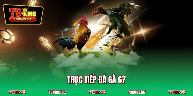 Trực tiếp đá gà 67